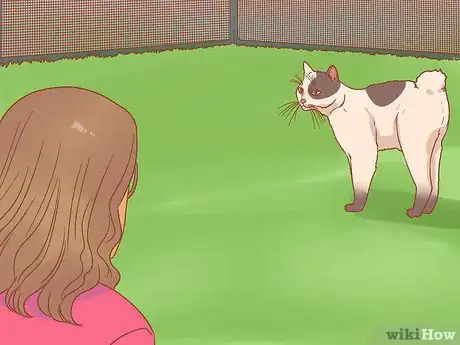 Image titled Get a Litter Trained Cat to "Go" Outside Step 5